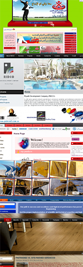 Our Portfolio